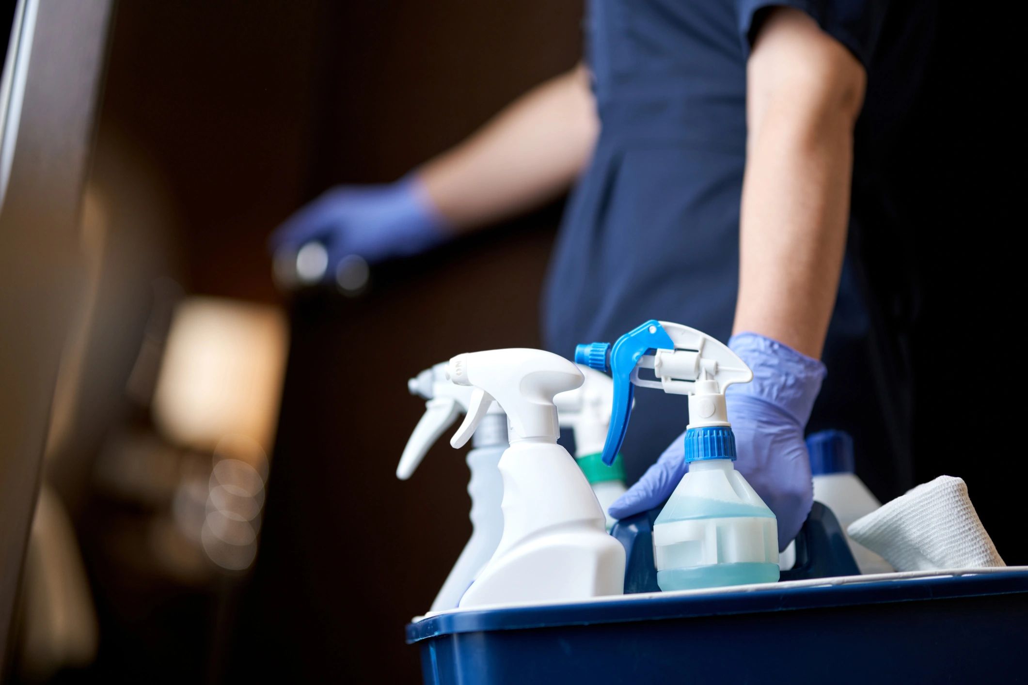 professional home cleaning service