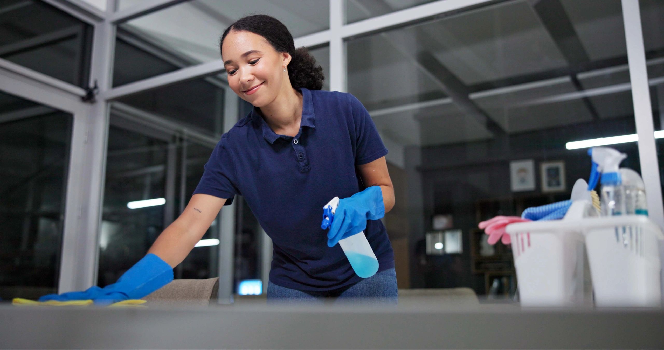 friendly professional cleaner at work