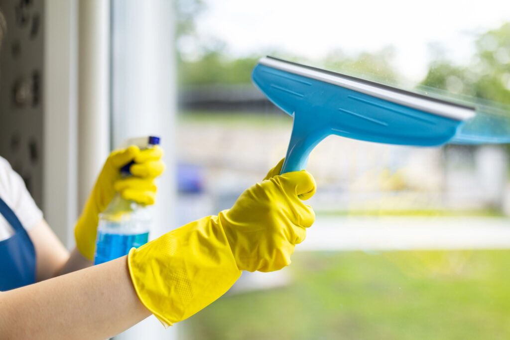 professional home cleaning service